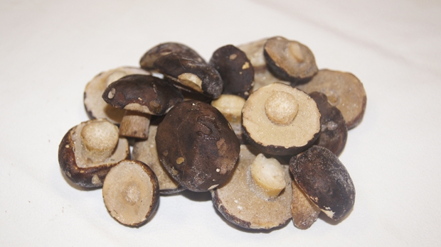 Las-Bór EKO traitement de la production de champignons exportés champignons frais séchés surgelés blanchis chanterelles cèpes bolets champignons de paris en Pologn 10